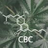 CBC