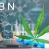 CBD CBN