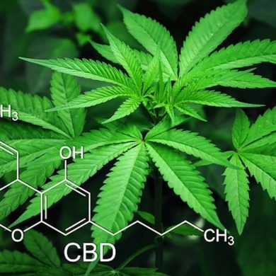 CBD
